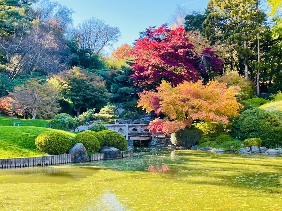 IMG_2023.jpg?type=w966