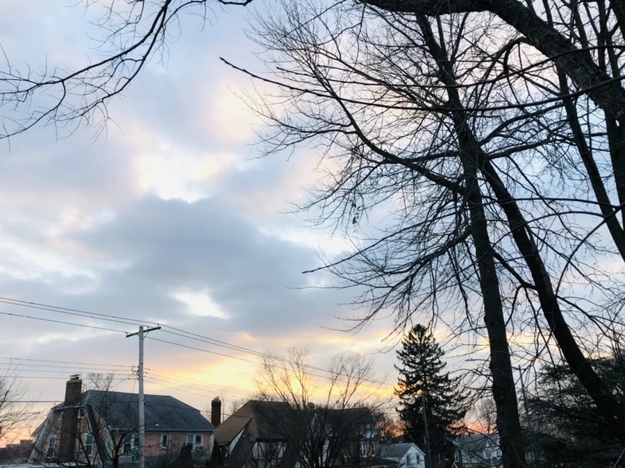 IMG_2497.jpg?type=w966