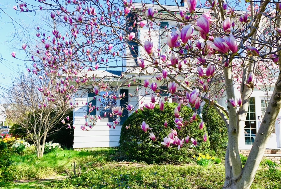 IMG_7504.jpg?type=w966