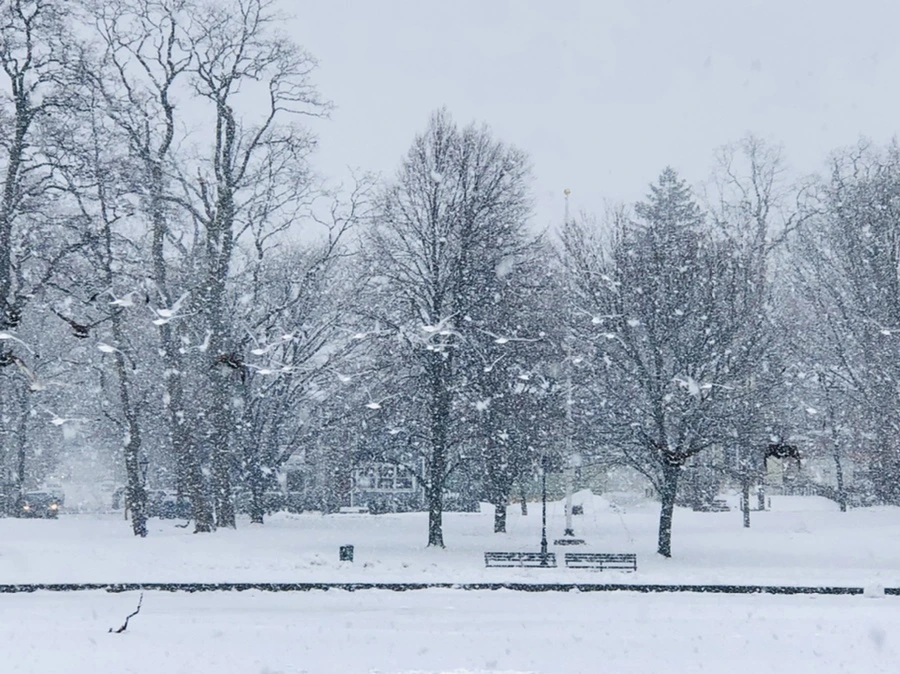 IMG_4221.jpg?type=w966