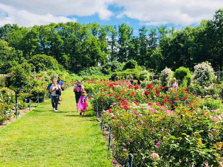 IMG_7824.jpg?type=w966