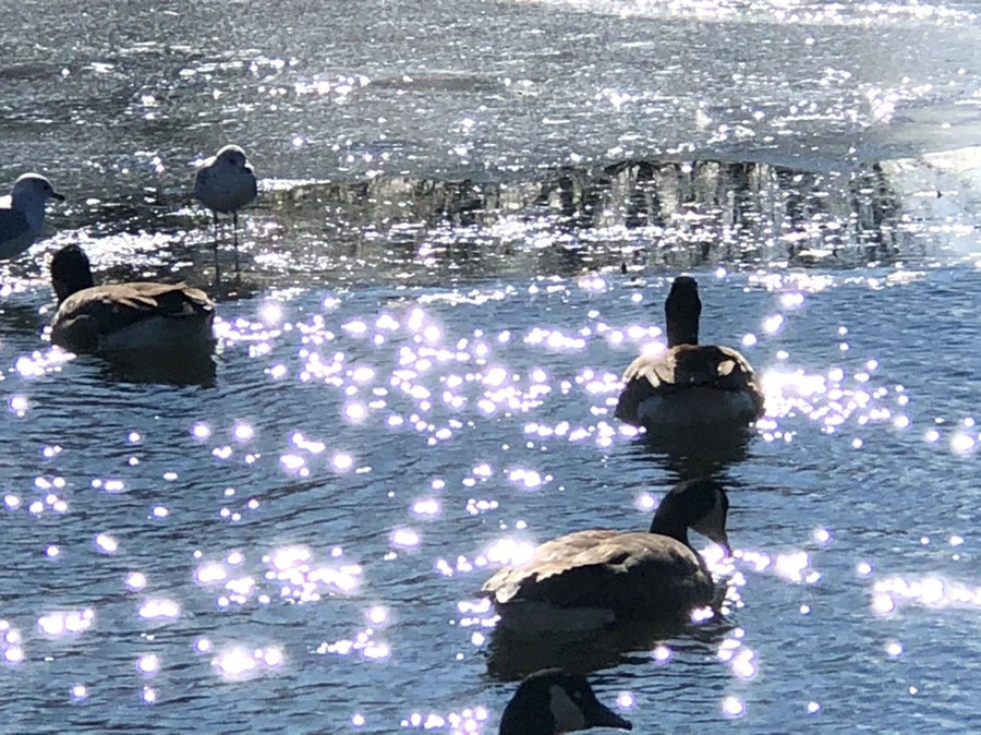 IMG_6852.jpg?type=w966