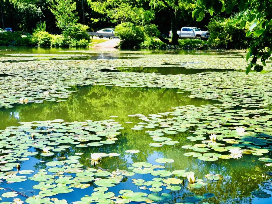 IMG_9731.jpg?type=w966