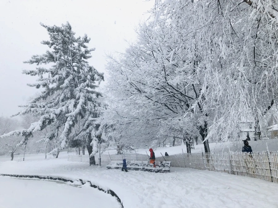 IMG_1076.jpg?type=w966