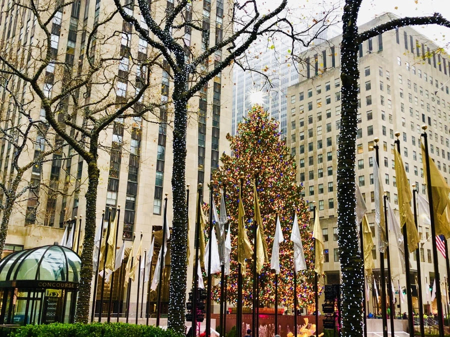 IMG_6599.jpg?type=w966