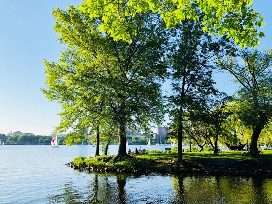 IMG_6777.jpg?type=w966