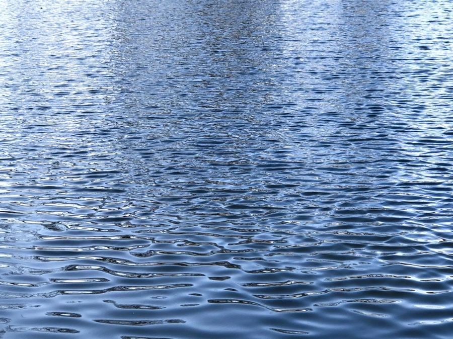 IMG_4270.jpg?type=w966