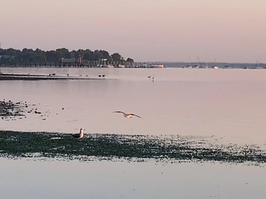 IMG_0176.jpg?type=w966