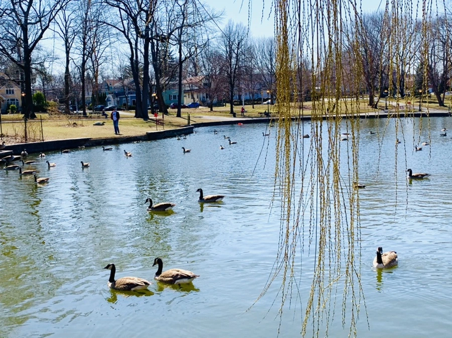 IMG_3114.jpg?type=w966