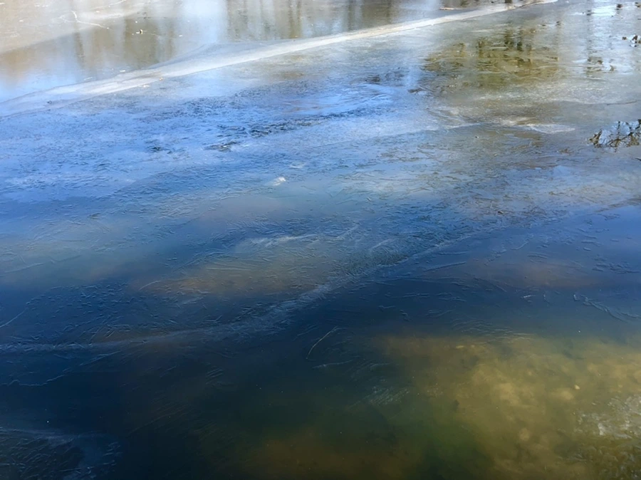 IMG_7906.jpg?type=w966