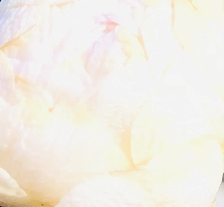 IMG_1387.jpg?type=w966