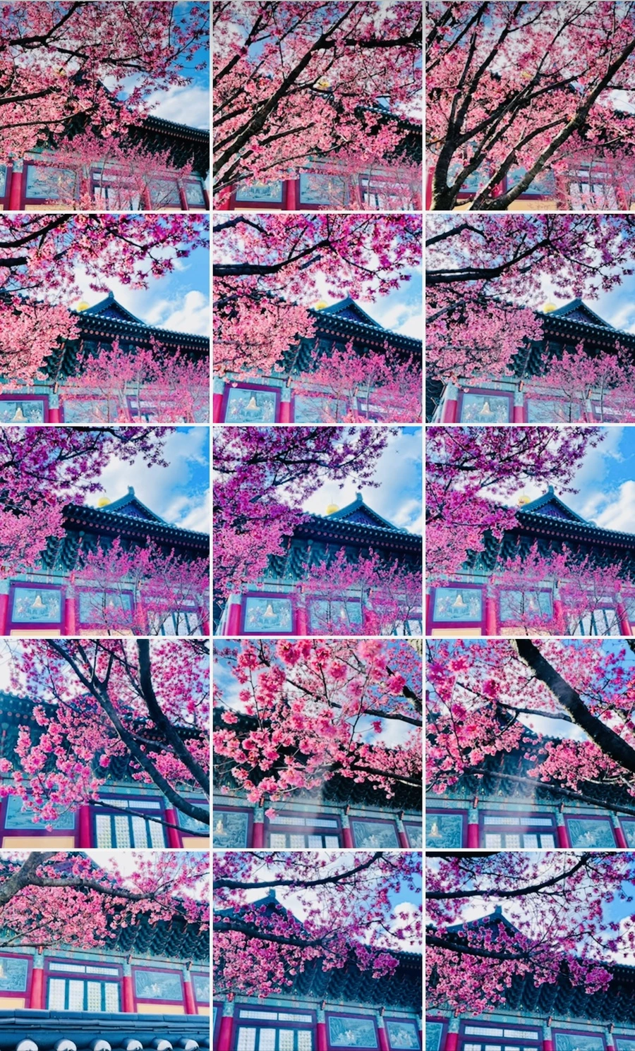 IMG_6213.jpg?type=w966