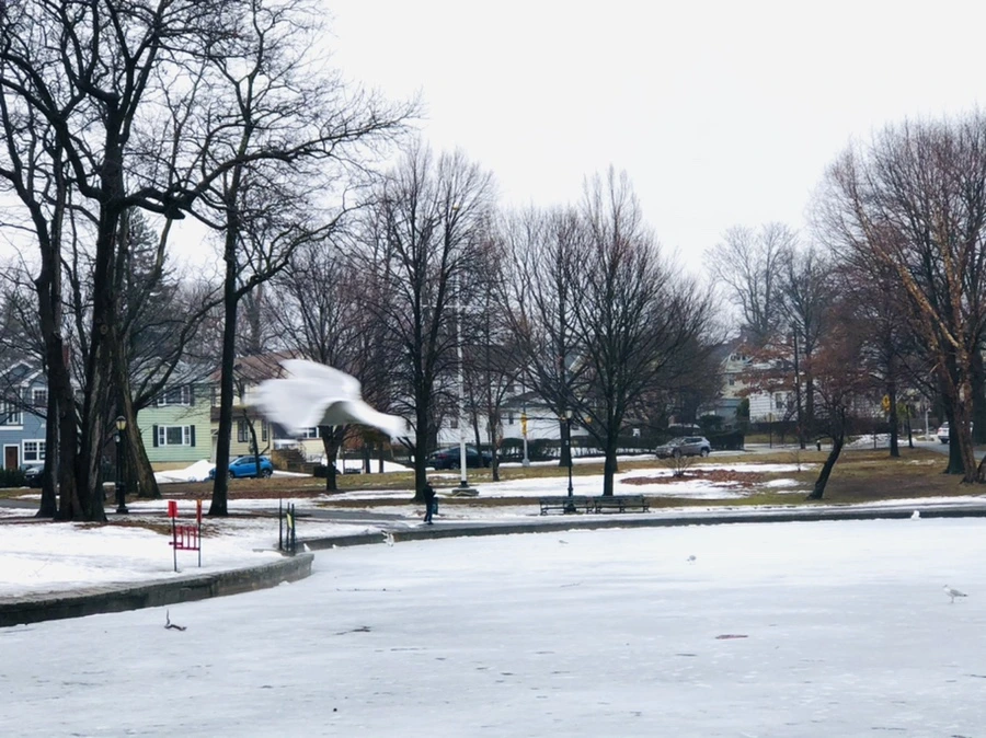 IMG_5671.jpg?type=w966