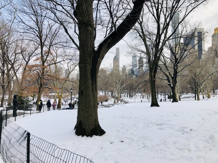 IMG_0393.jpg?type=w966