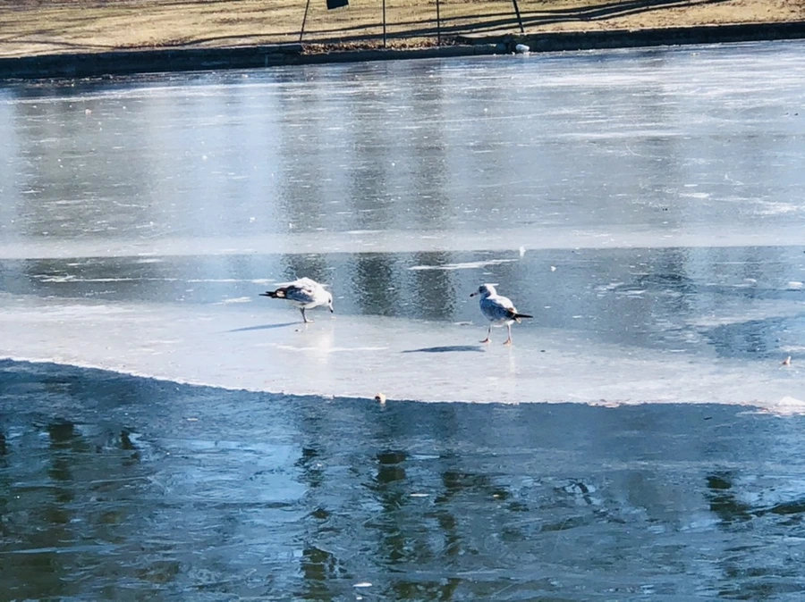 IMG_7805.jpg?type=w966