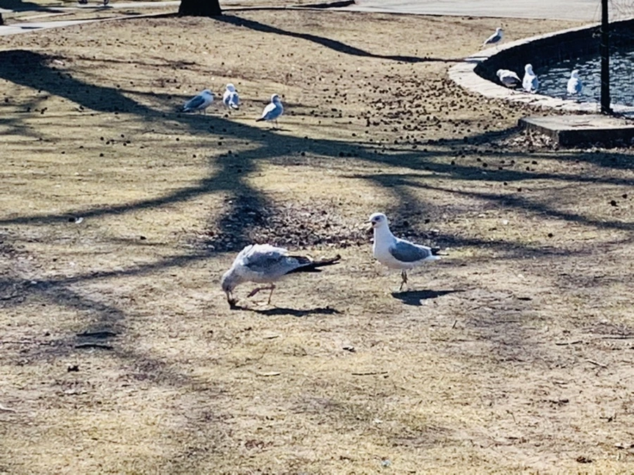 IMG_9340.jpg?type=w966