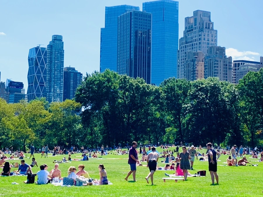 IMG_4390.jpg?type=w966