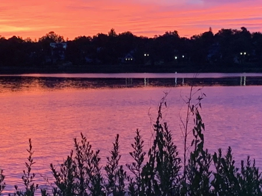 IMG_5807.jpg?type=w966