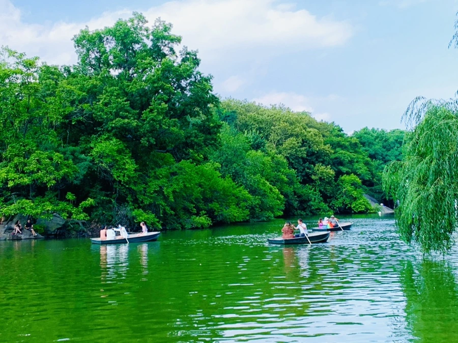 IMG_0639.jpg?type=w966