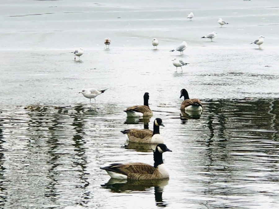 IMG_6434.jpg?type=w966