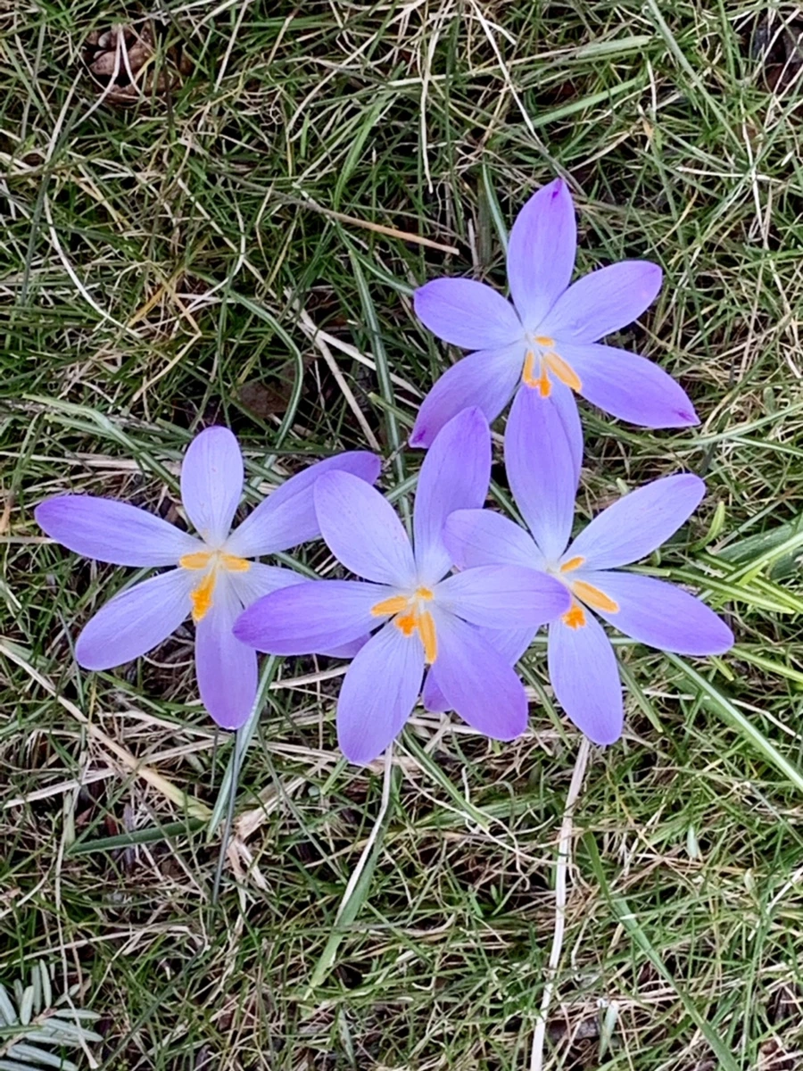 IMG_9211.jpg?type=w966