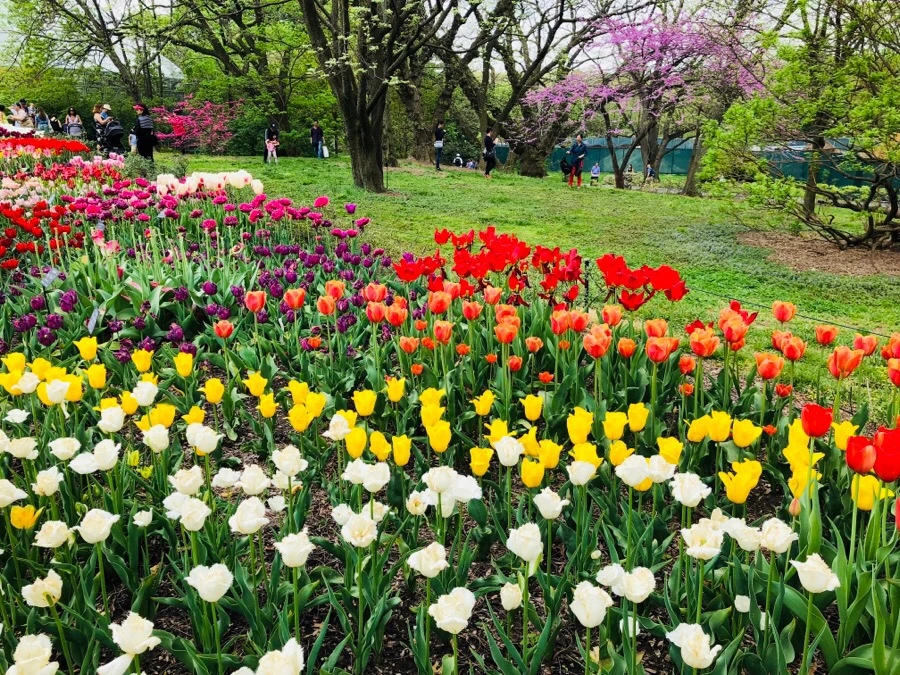 IMG_5510.jpg?type=w966