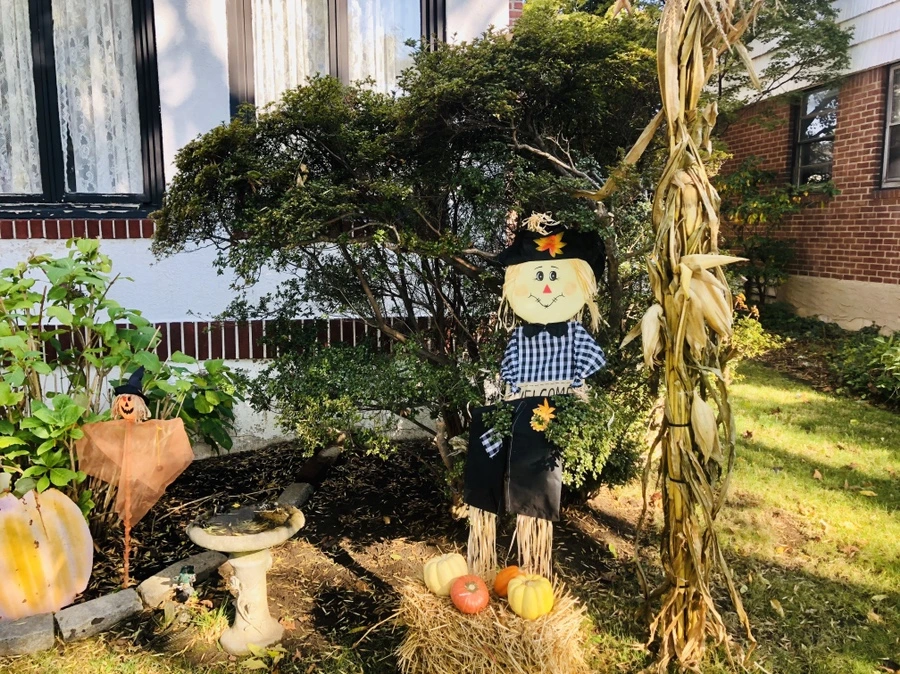 IMG_1897.jpg?type=w966