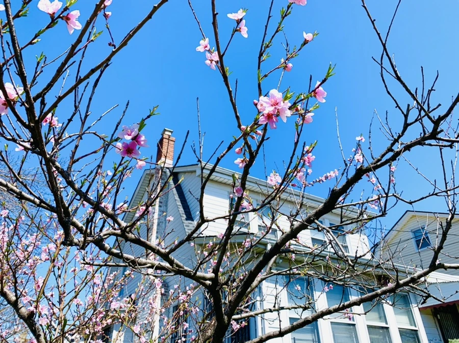 IMG_7767.jpg?type=w966