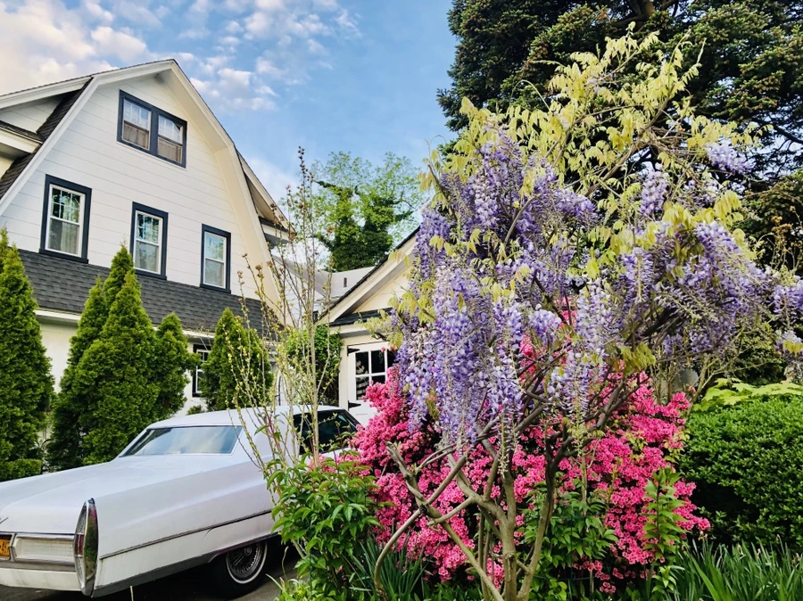 IMG_7284.jpg?type=w966