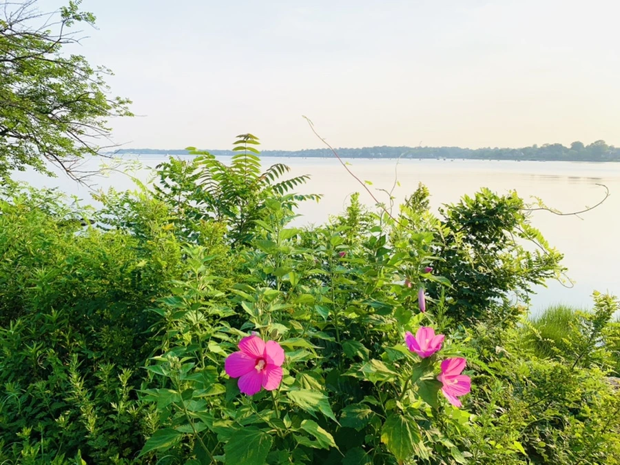 IMG_6292.jpg?type=w966