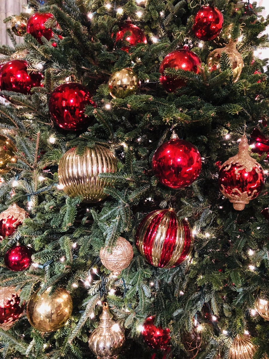 IMG_8561.jpg?type=w966