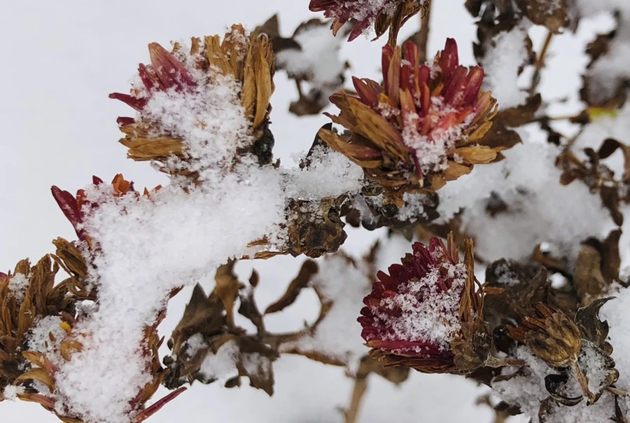 IMG_3313.jpg?type=w966