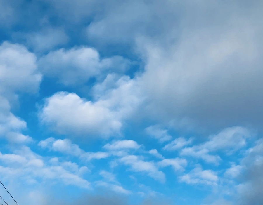 IMG_9669.jpg?type=w966