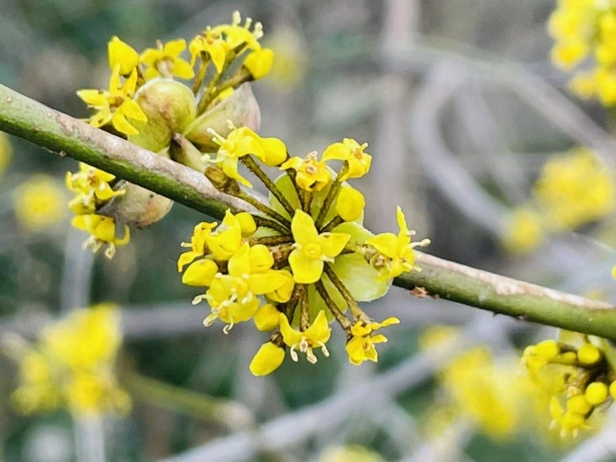 IMG_5380.jpg?type=w966