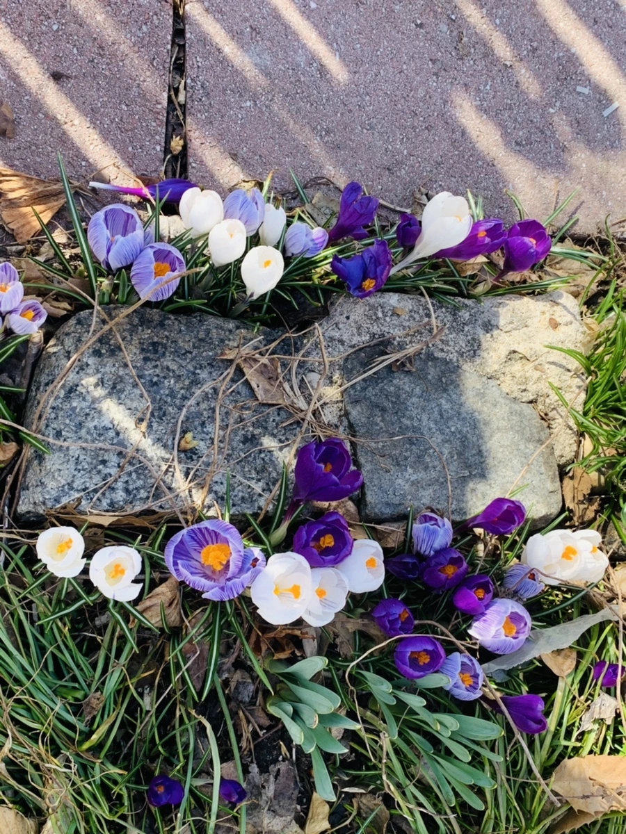 IMG_2580.jpg?type=w966