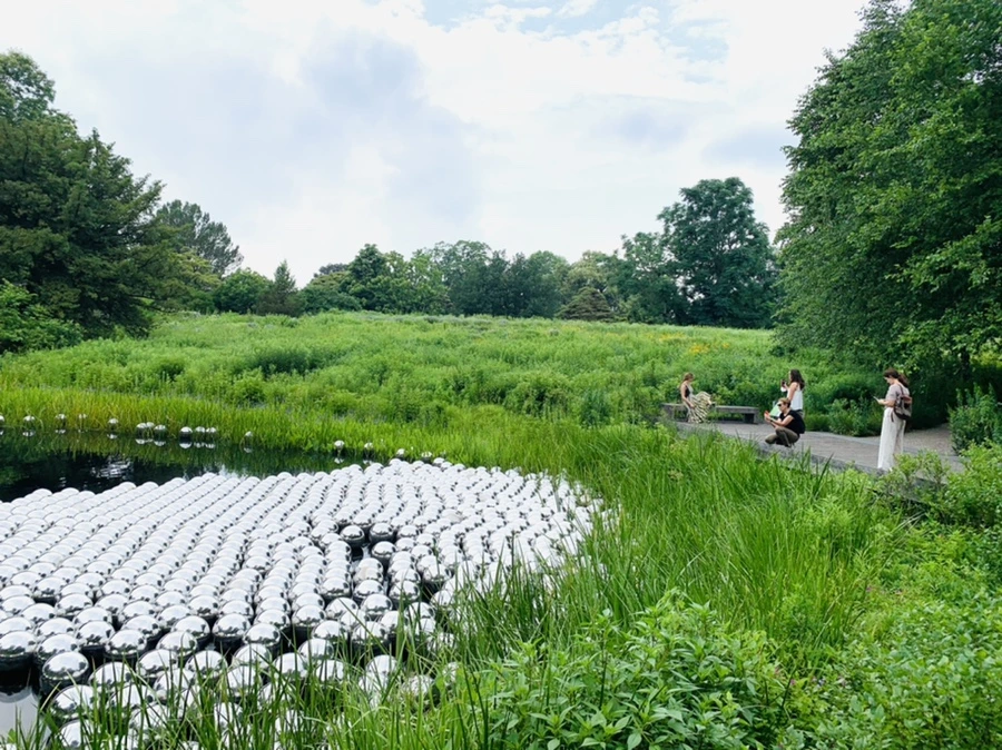 IMG_2671.jpg?type=w966