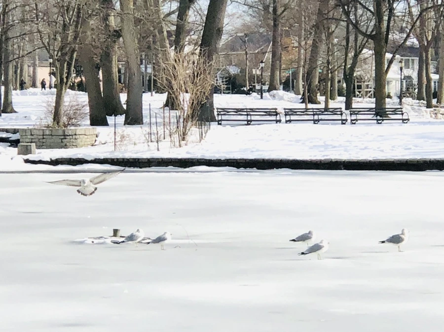 IMG_0145.jpg?type=w966