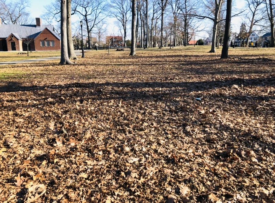 IMG_0259.jpg?type=w966