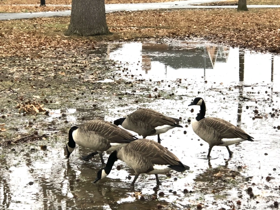 IMG_9660.jpg?type=w966