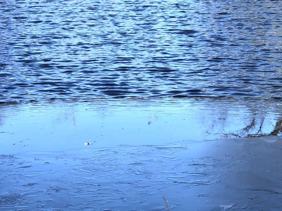 IMG_0563.jpg?type=w966