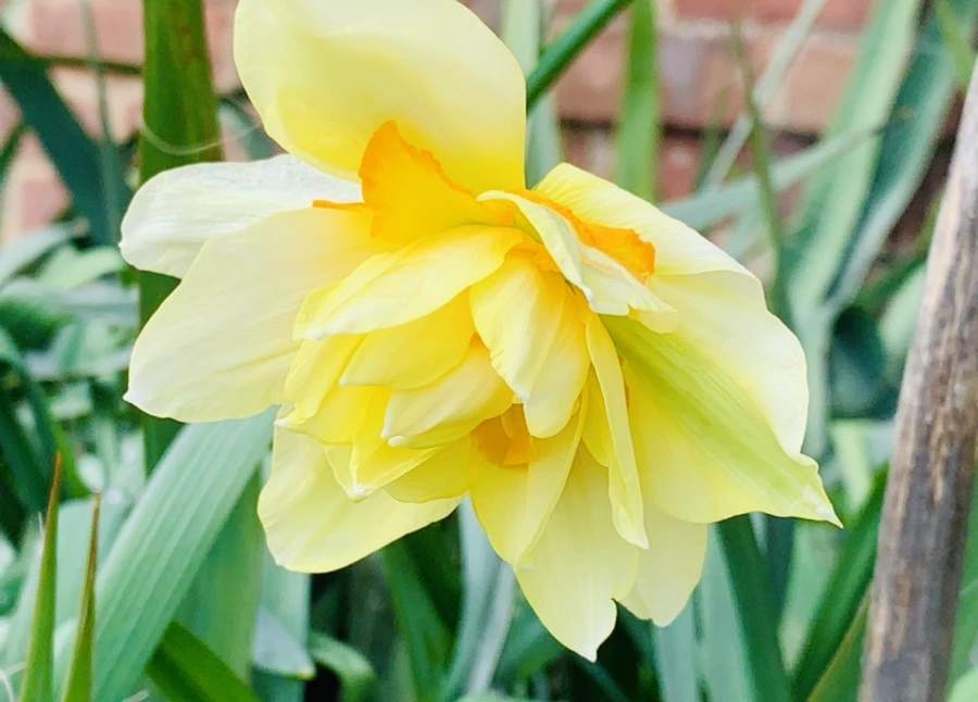 IMG_6383.jpg?type=w966