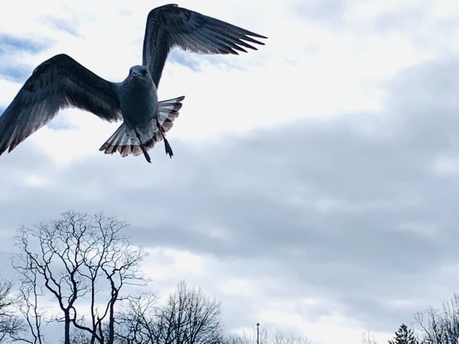 IMG_7843.jpg?type=w966