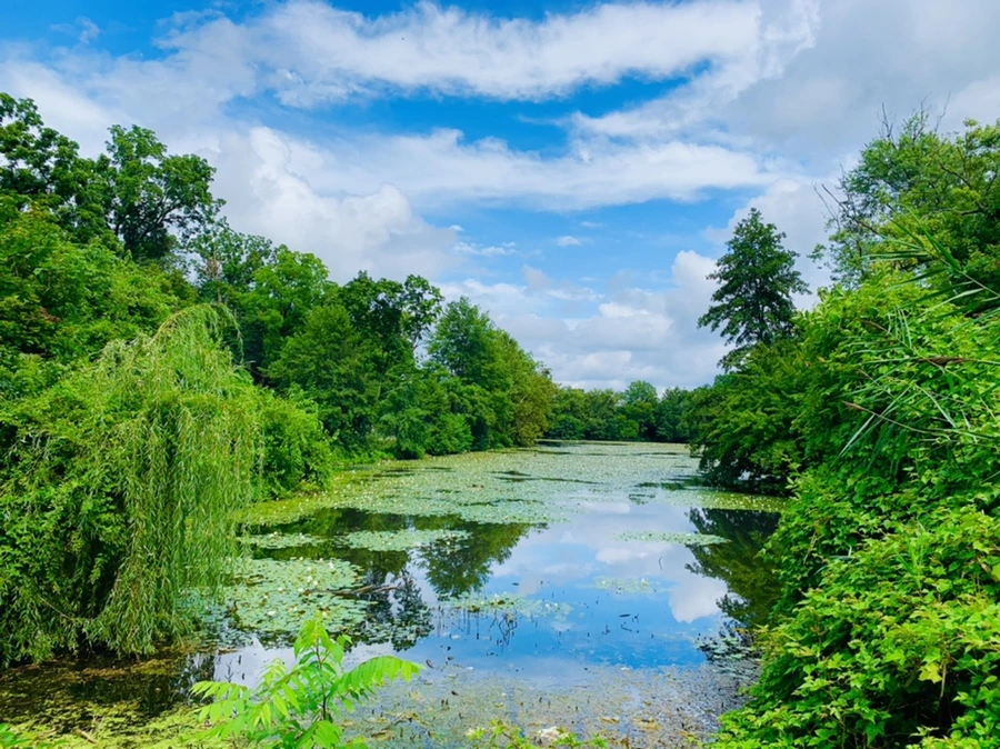 IMG_9285.jpg?type=w966