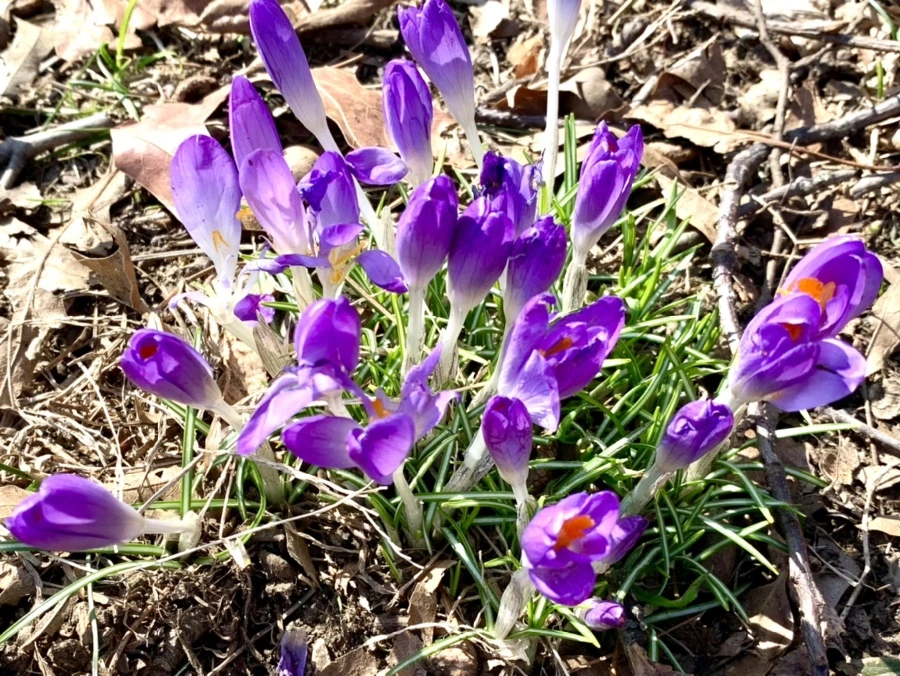 IMG_9701.jpg?type=w966