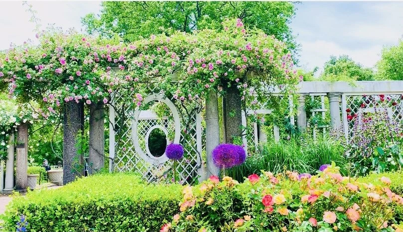 CQleil1S-lE_PjoaLi8WHrXTR-4