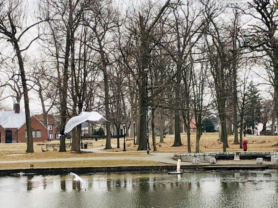 IMG_3275.jpg?type=w966