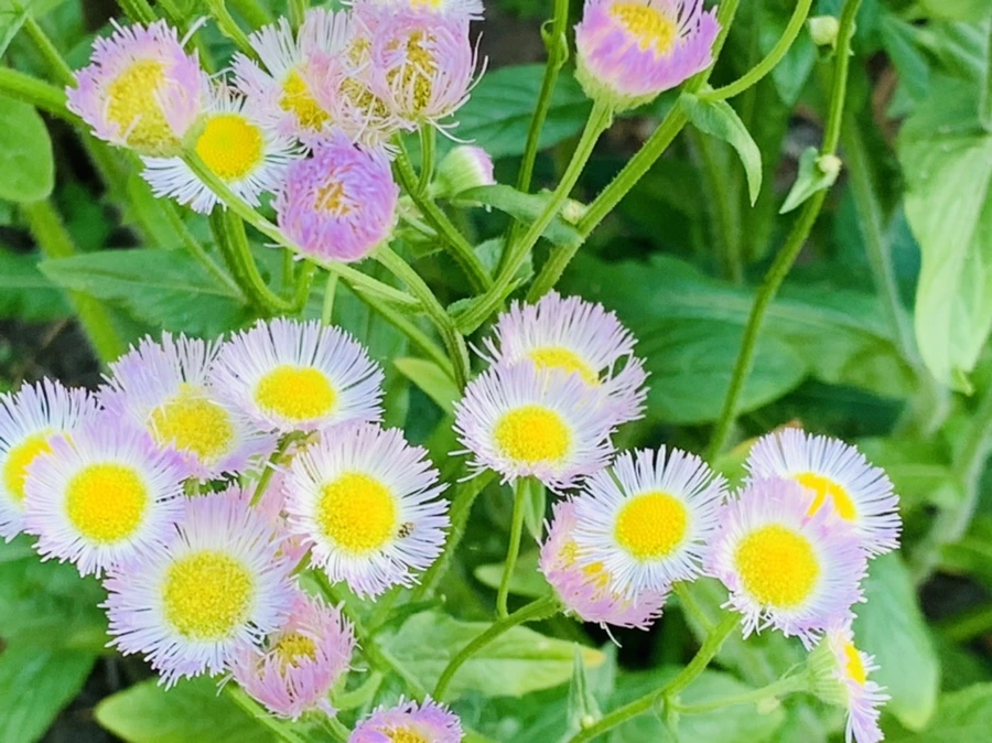 IMG_5652.jpg?type=w966