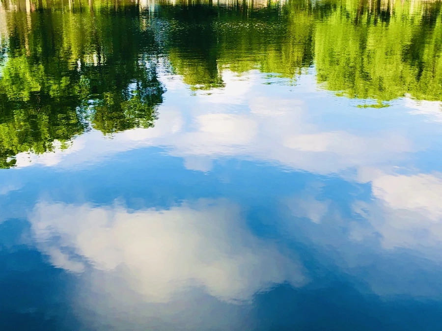 IMG_2937.jpg?type=w966