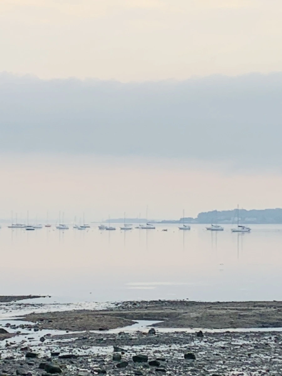 IMG_8219.jpg?type=w966