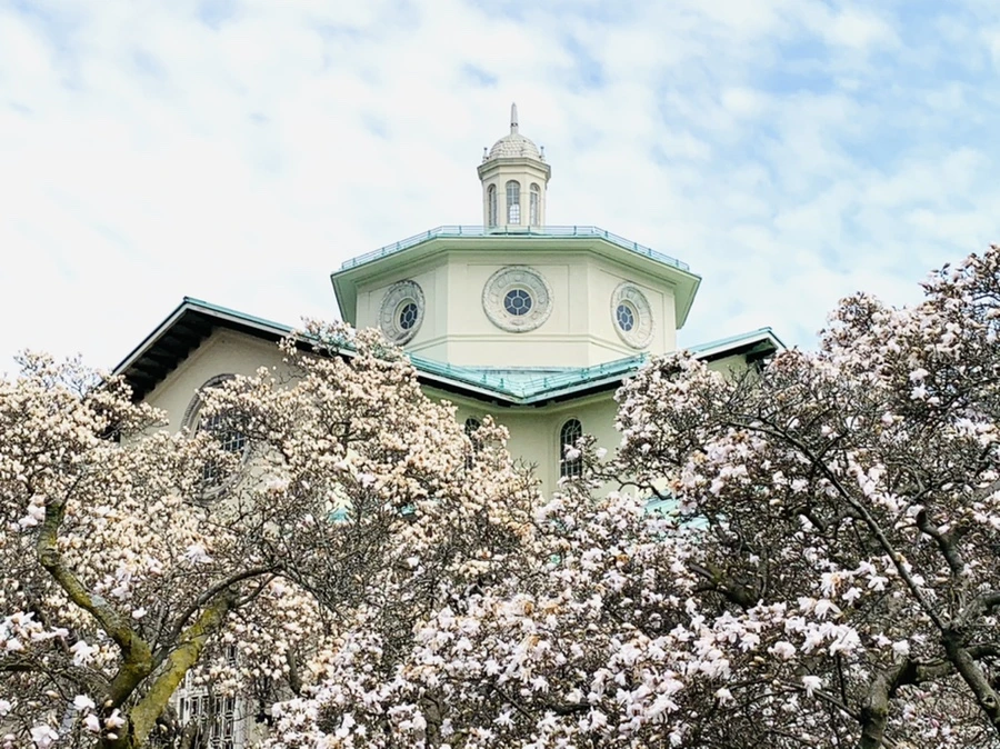 IMG_7187.jpg?type=w966